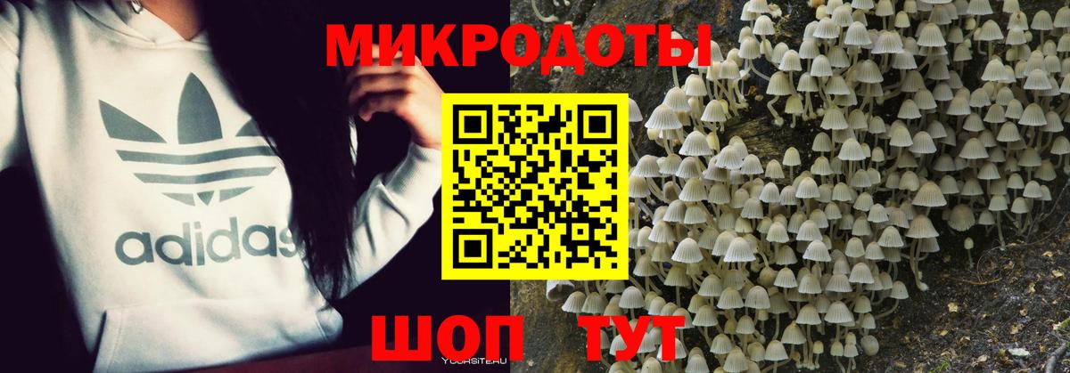 Галлюциногенные грибы Magic Shrooms Еманжелинск